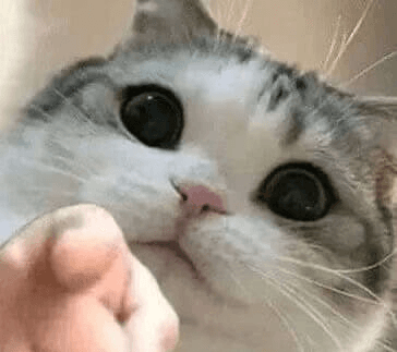 Scrolling Image 1